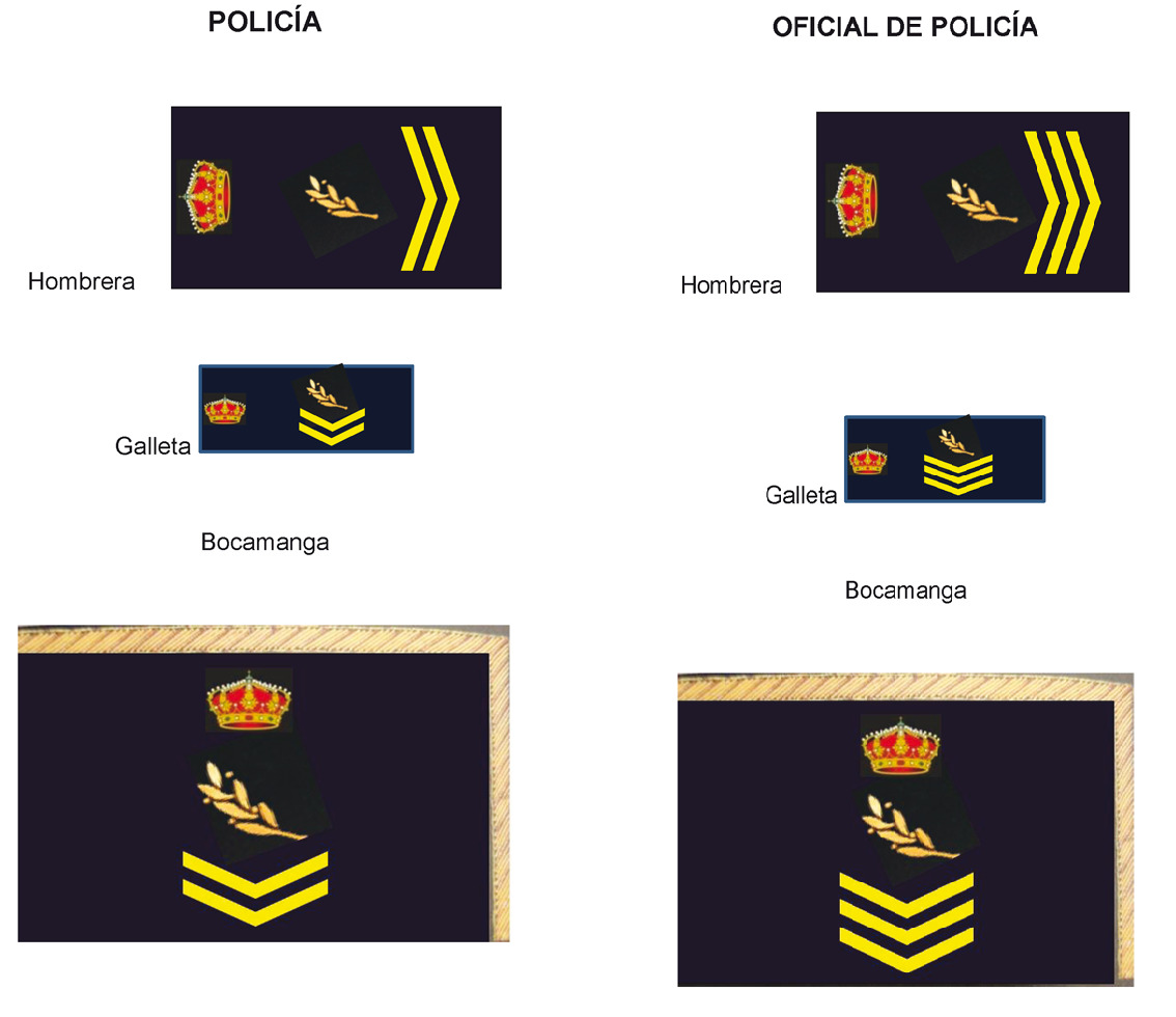 Conoce los distintivos de cargo y divisas del Cuerpo Nacional de Policía, ACOPOL